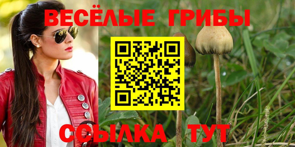 Галлюциногенные грибы мицелий Артёмовский