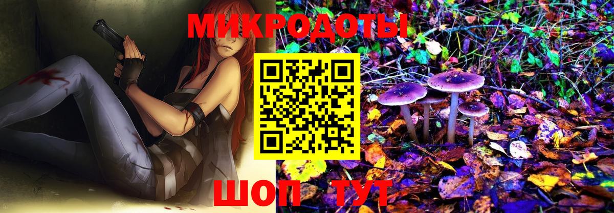 Галлюциногенные грибы MAGIC MUSHROOMS  Артёмовский  Галлюциногенные грибы Cubensis 