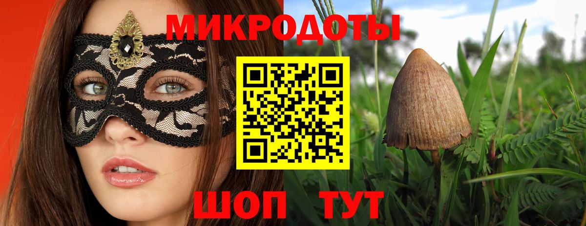 Галлюциногенные грибы Psilocybe Артёмовский